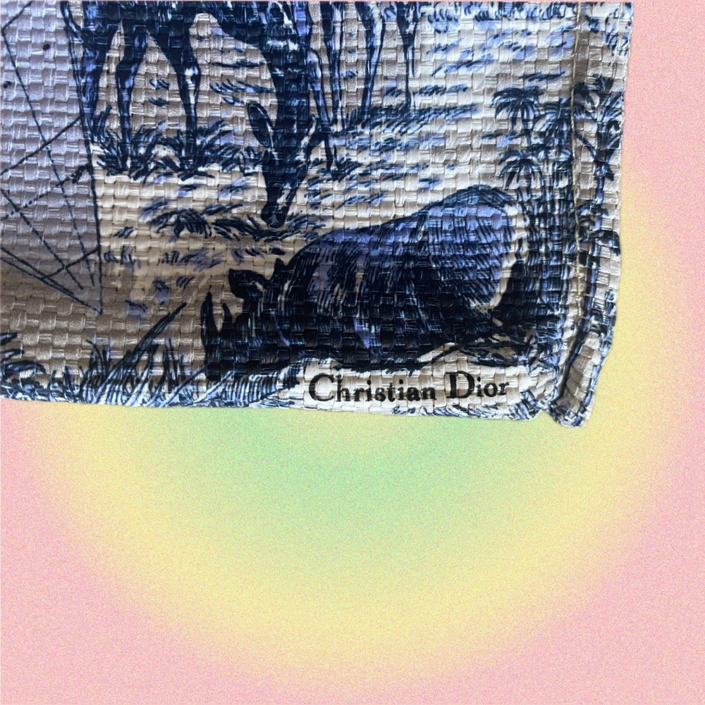 BRAND NEW Authentic Christian Dior Around The World Straw Woven Canvas Tote Bag - Picture 5 of 6